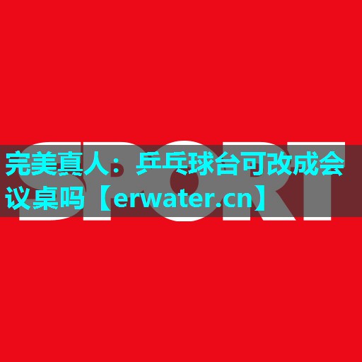 乒乓球台可改成会议桌吗