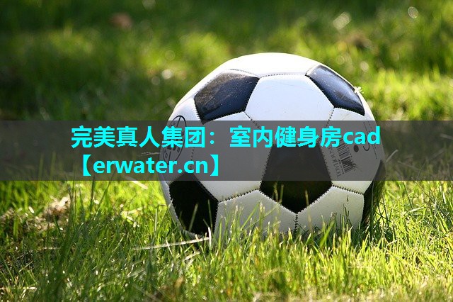 室内健身房cad